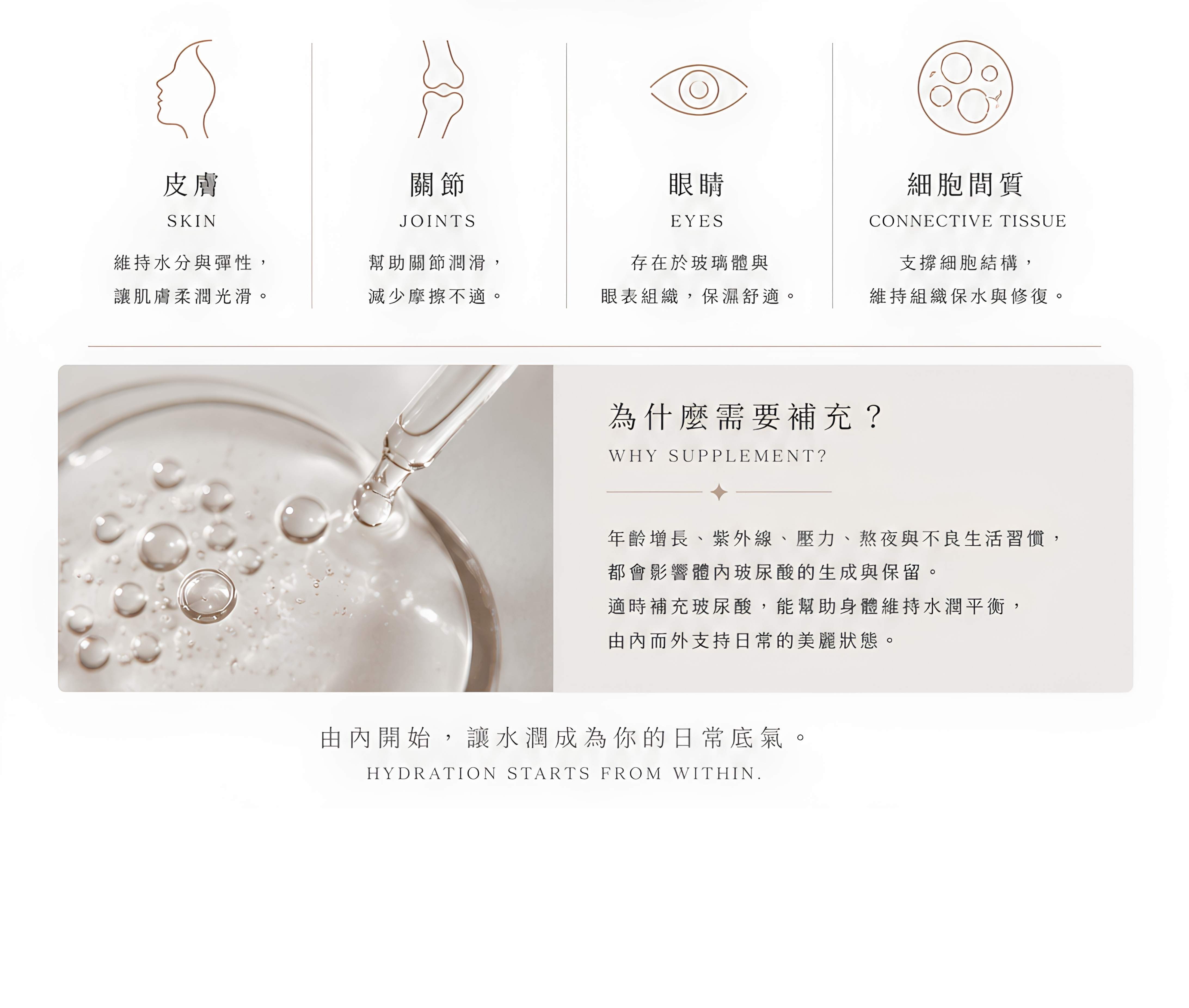 玻尿酸 網頁 4369 (2)