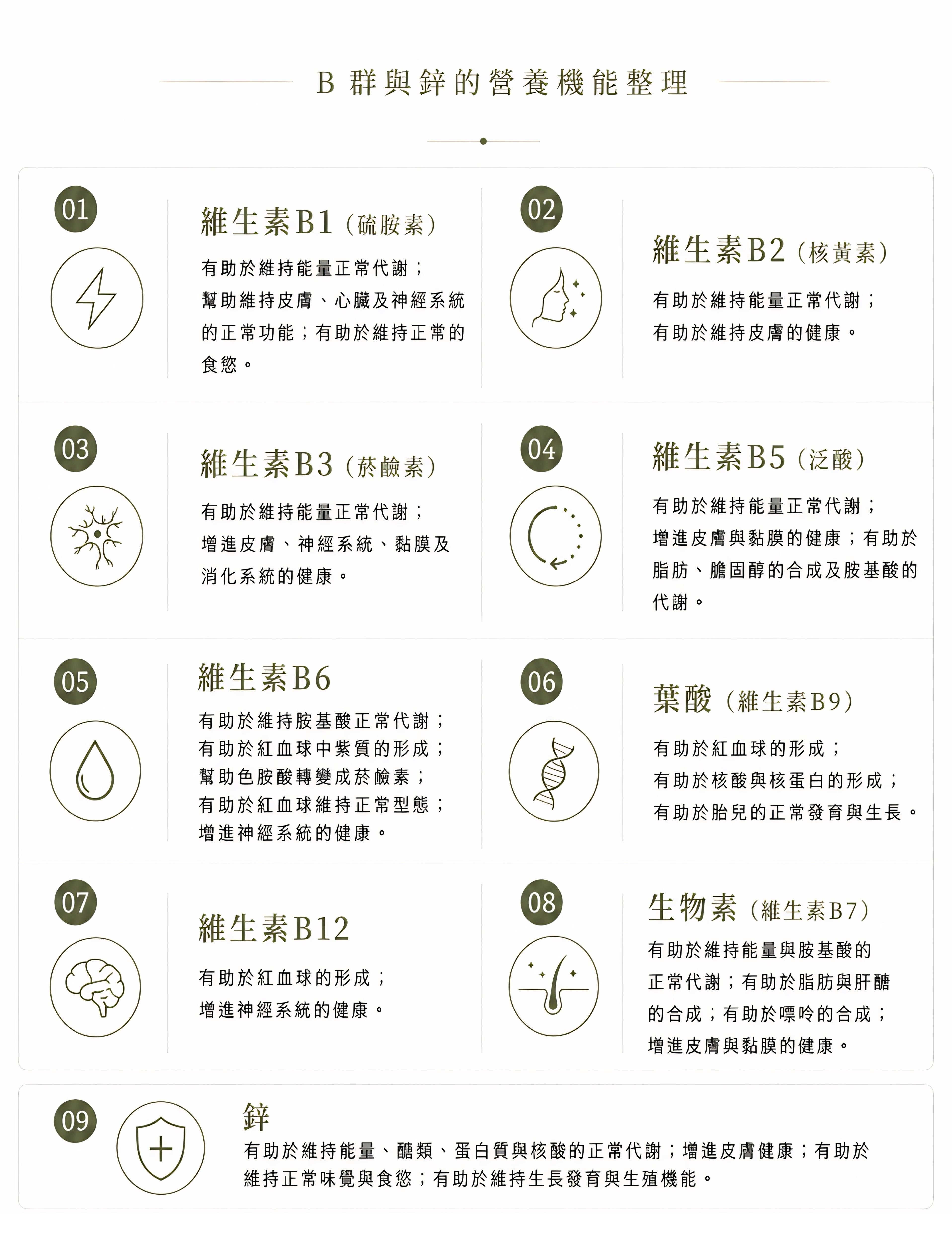 鋅+B第5 3833